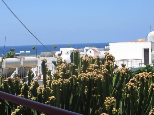 Balcony view at Green Bungalows, Ayia Napa in Cyprus. Travel with World Lifetime Journeys