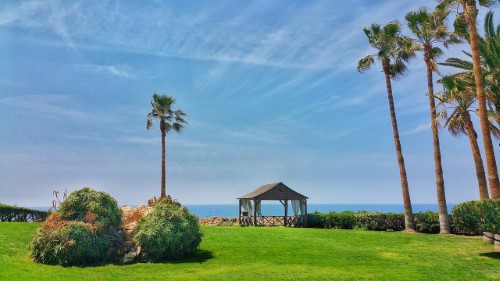 Garden view at Cynthiana Beach Hotel in Paphos, Cyprus. Travel with World Lifetime Journeys