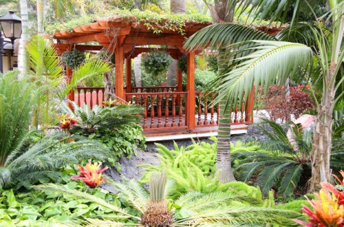 Beautiful garden at Sunlight Bahia Principe San Felipe in Puerto de la Cruz, Tenerife. Travel with World Lifetime Journeys