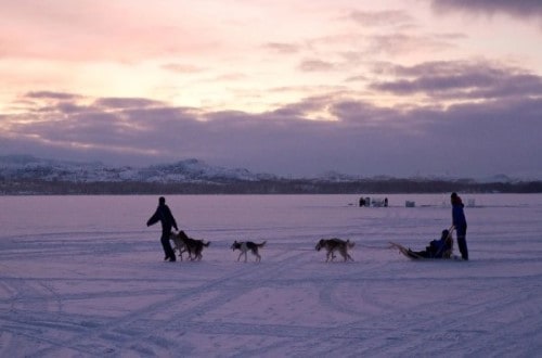 Day 5 Husky adventure in Norway. Travel with World Lifetime Journeys