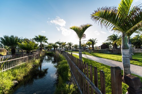 Beautiful garden at THB Tropical Island in Playa Blanca, Lanzarote. Travel with World Lifetime Journeys