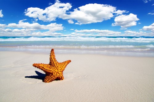 White sand beach at Palumbo Kendwa, Zanzibar. Travel with World Lifetime Journeys