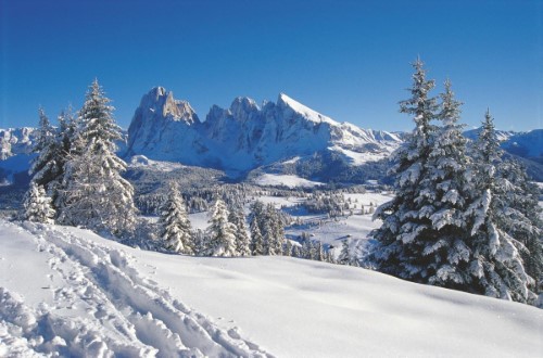 Winter view at Hotel Adler Dolomiti in Ortisei, Italy. Travel with World Lifetime Journeys