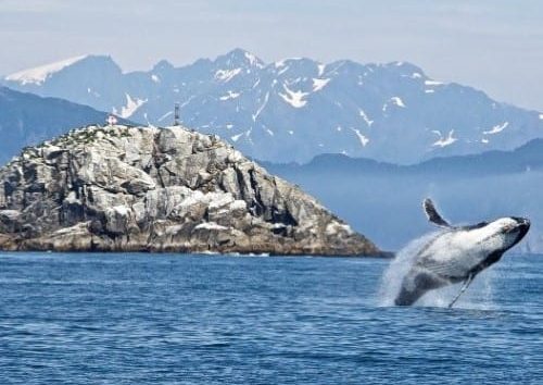 Alaska Hubbard Glacier product 500px. Travel with World Lifetime Journeys