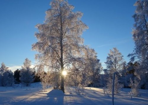 Akas ALP Apartments Lapland product 500px. Travel with World Lifetime Journeys